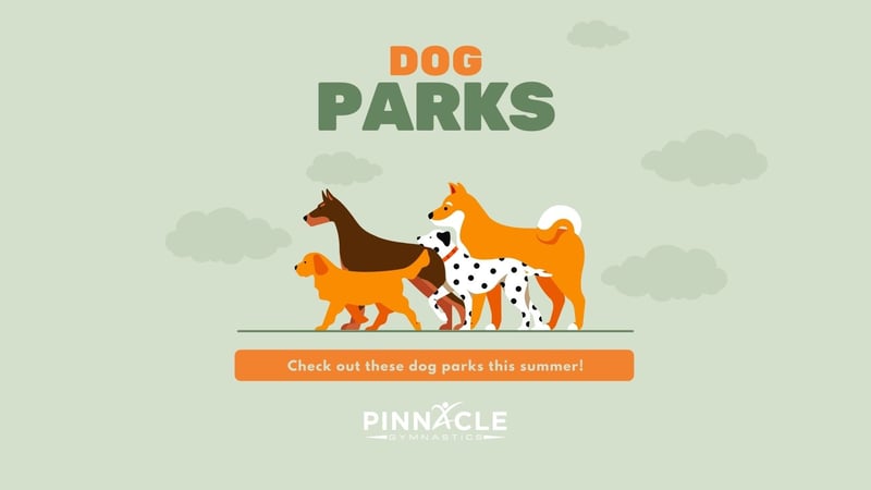 Dog Park Blog Art (Facebook Cover)
