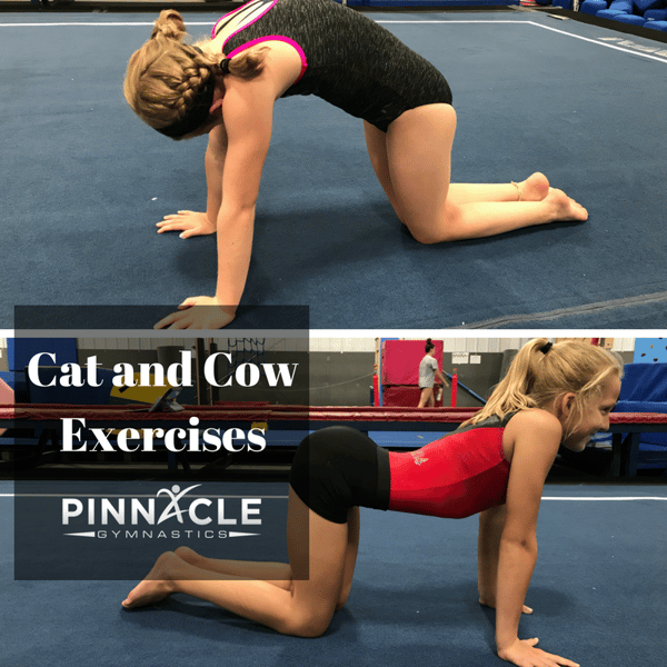 Exercises to improve a back handspring at home