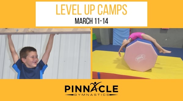 Level up camps