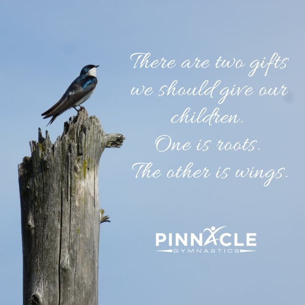 There are two gifts we should give our children. One is roots. The other is wings.