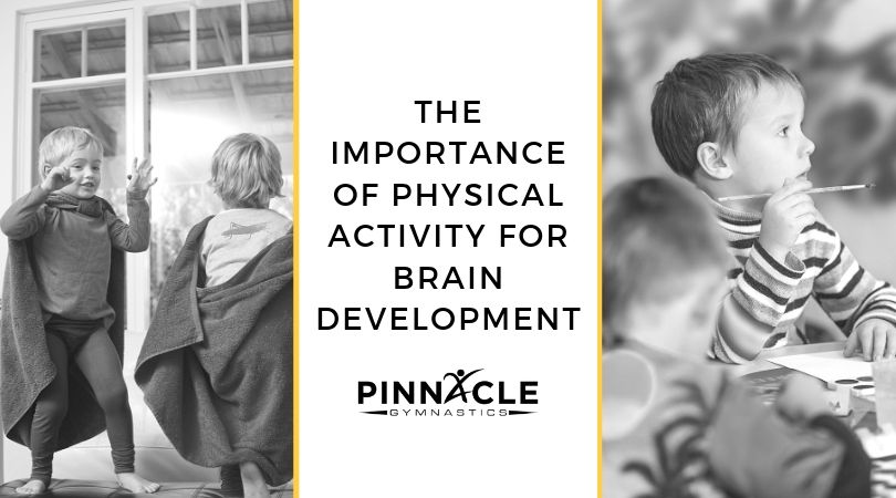 The Importance of physical activity for brain development