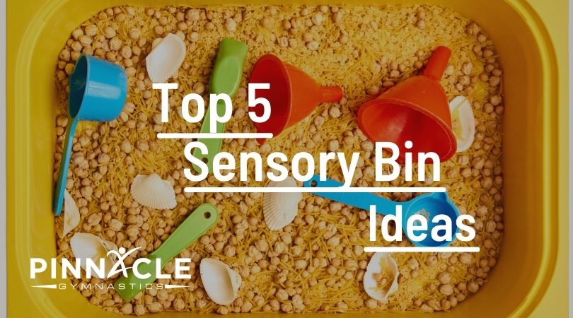 Five Sensory Bin Ideas for Inside Play